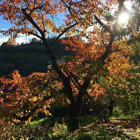 Bed & Breakfast Della Torre Canelli