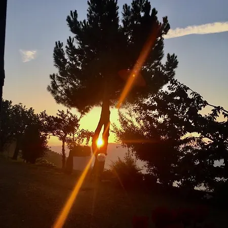 Bed and breakfast Della Torre