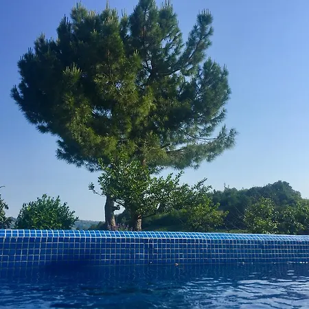 Bed & Breakfast Della Torre *